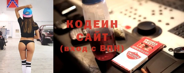 ECSTASY Алзамай