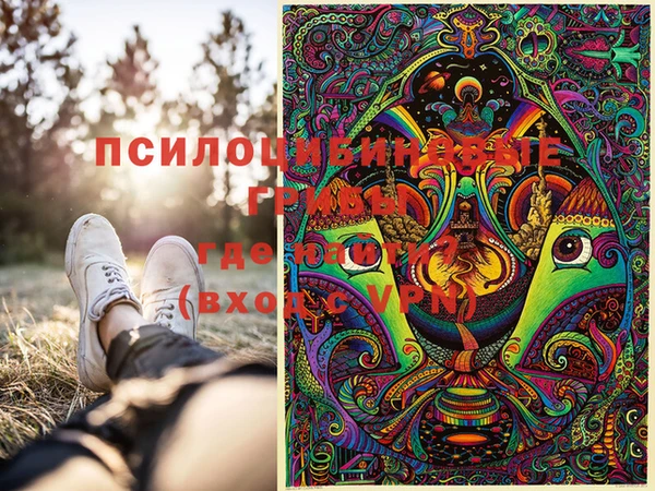 ECSTASY Алзамай