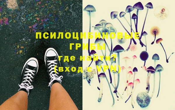 ECSTASY Алзамай