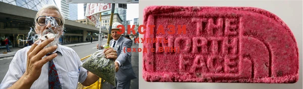 ECSTASY Алзамай