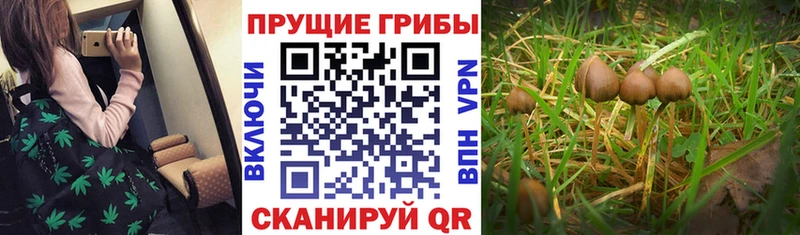 Псилоцибиновые грибы мухоморы  Челябинск 